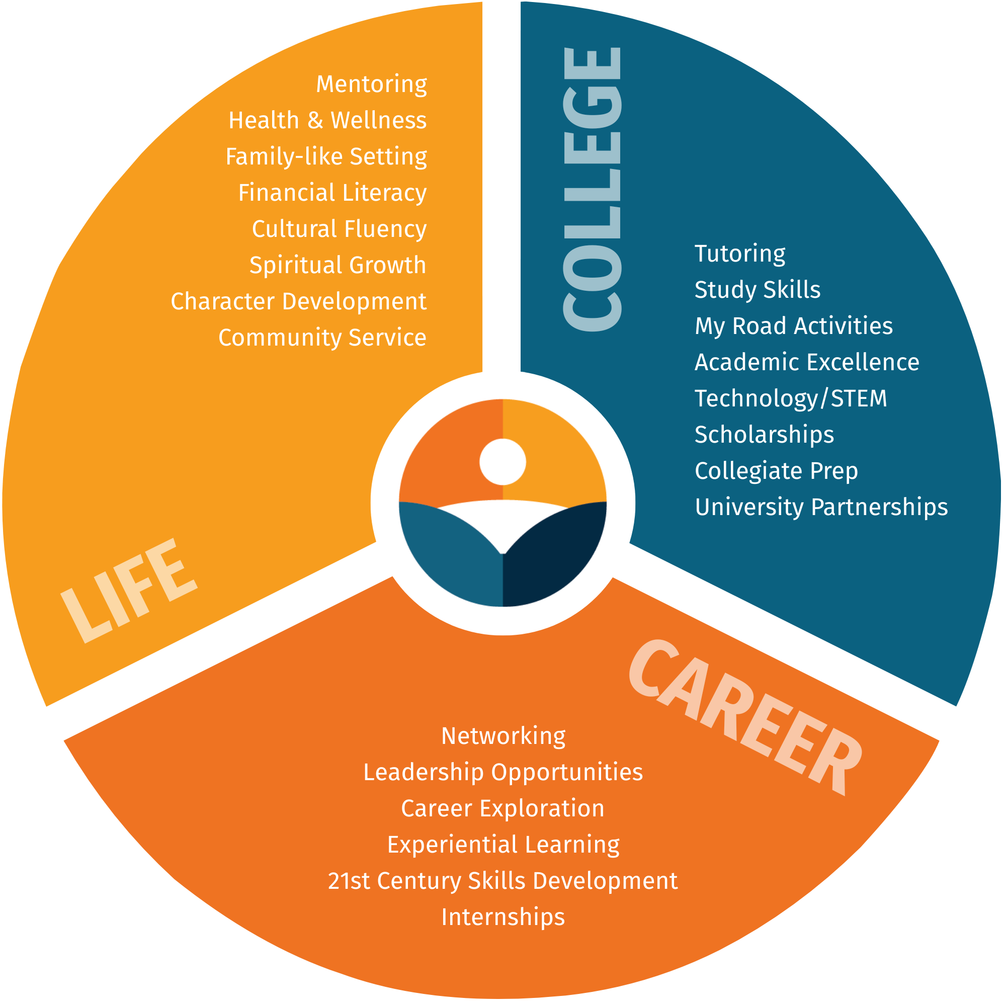 Website Programming Graphic